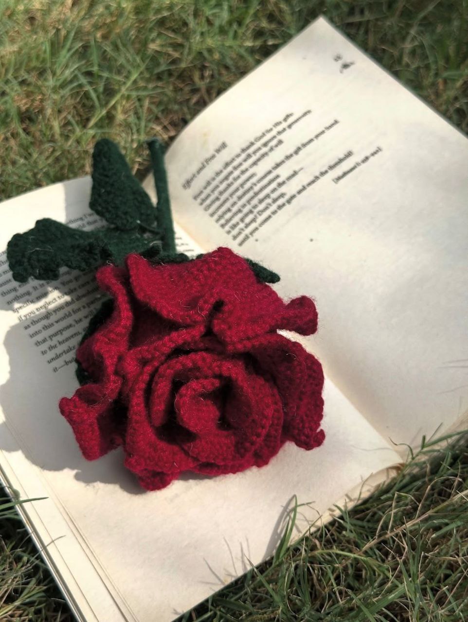 Single flower